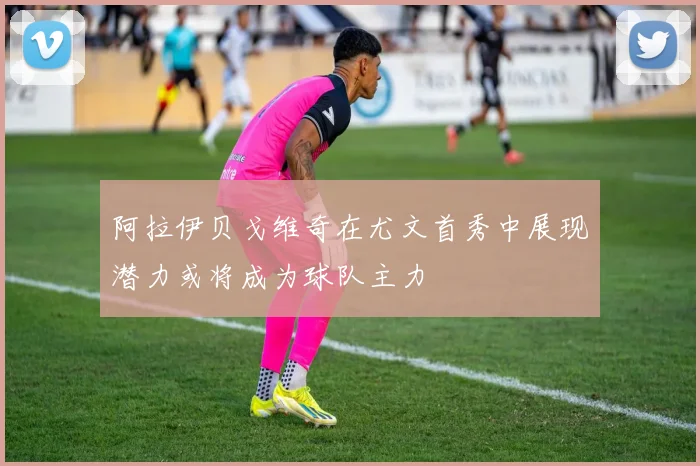 阿拉伊贝戈维奇在尤文首秀中展现潜力或将成为球队主力